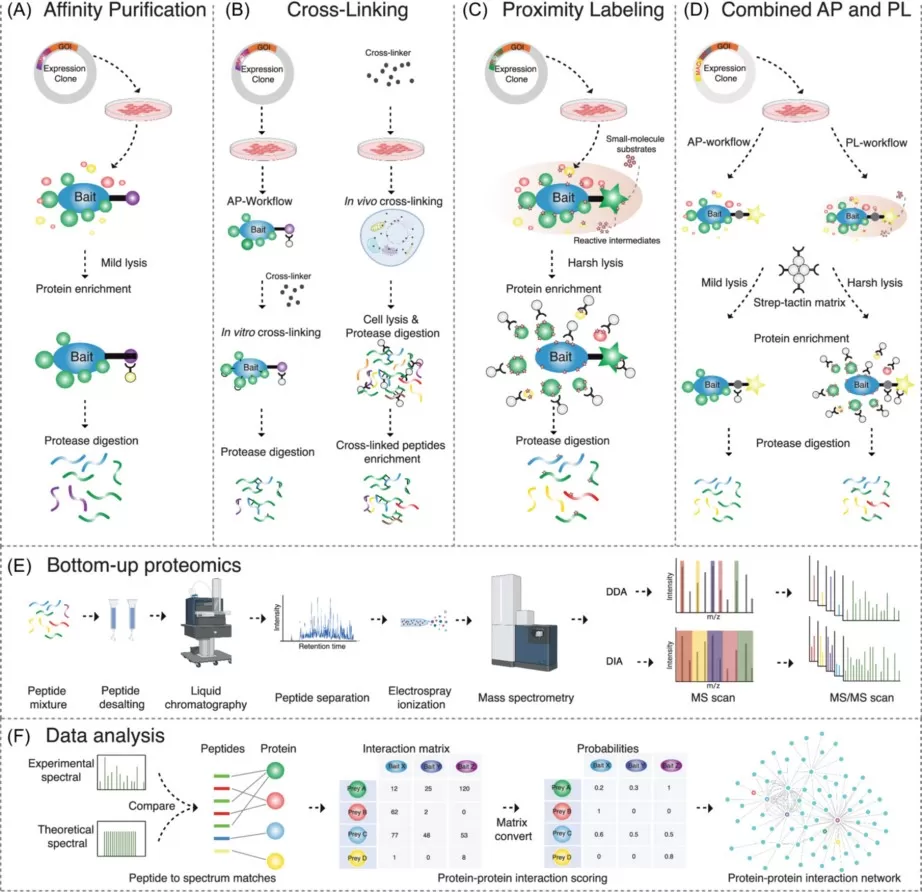 MS-based approaches to studying interactomes.